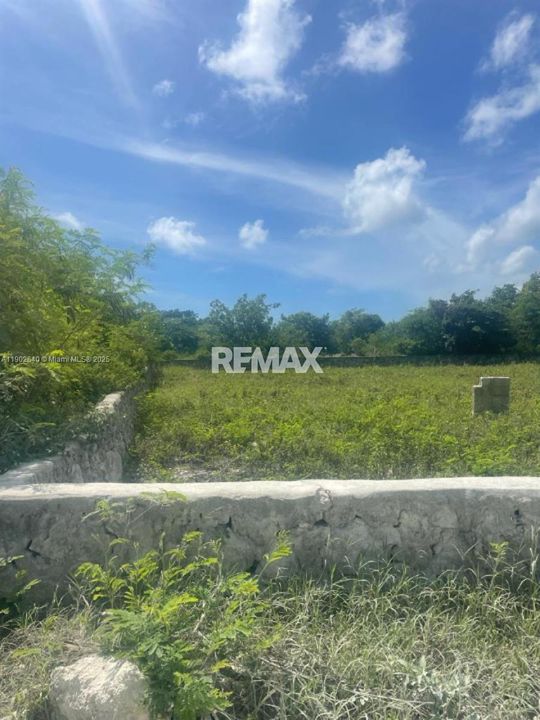 For Sale: $98,000 (0 beds, 0 baths, 0 Square Feet)