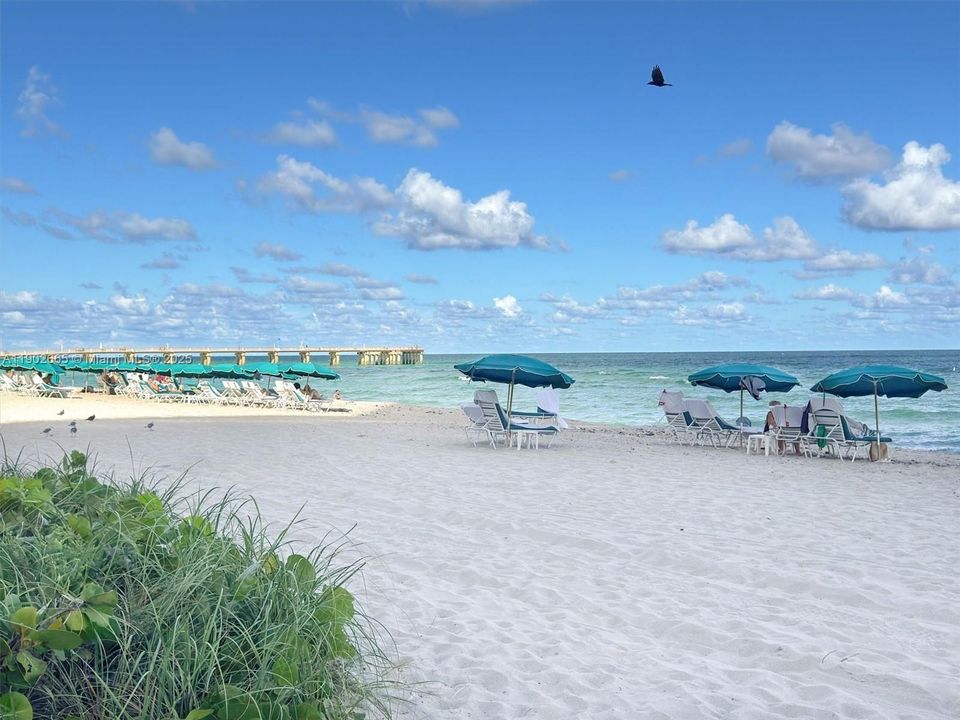 For Sale: $1,170,000 (2 beds, 2 baths, 1566 Square Feet)