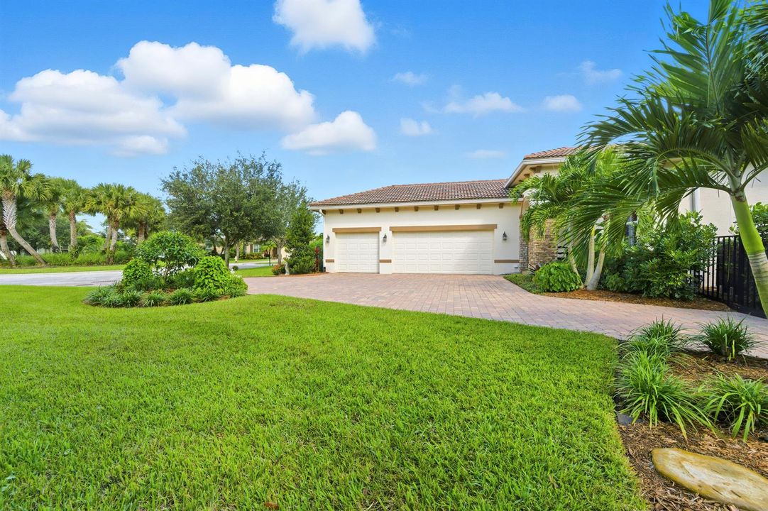 Side yard view
