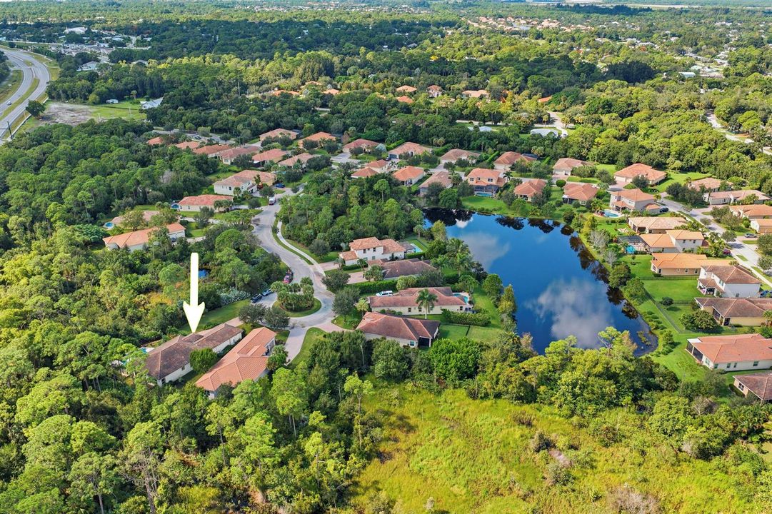 Community aerial view