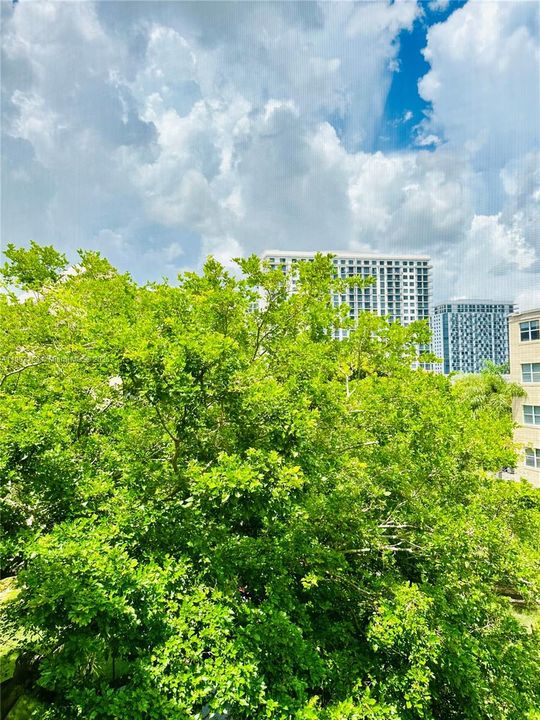 合同活跃: $2,000 (1 贝兹, 1 浴室, 810 平方英尺)