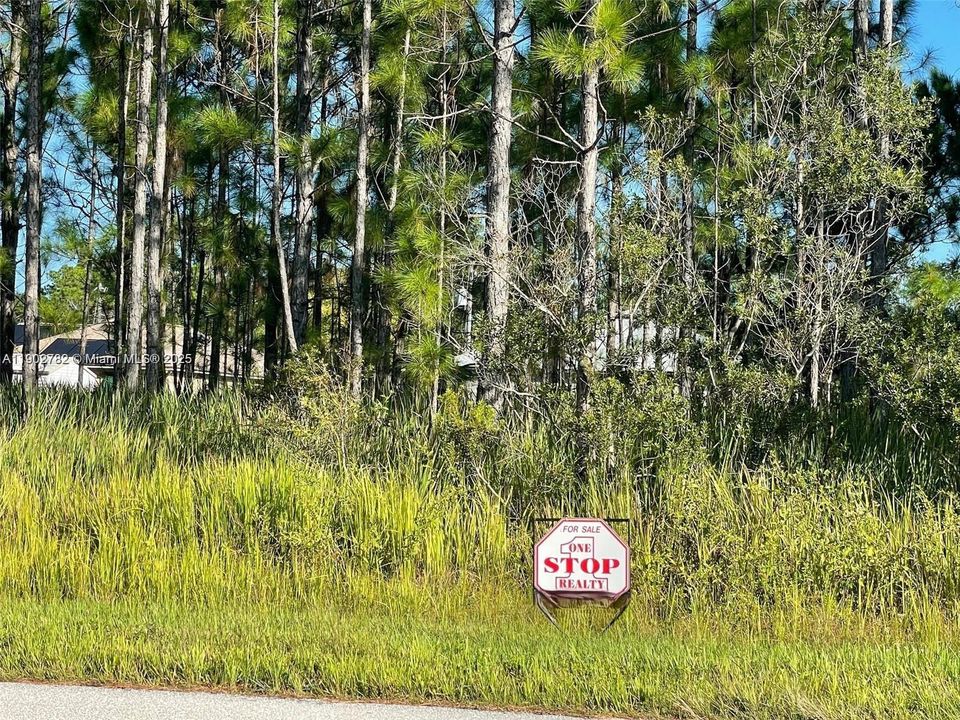 На продажу: $24,900 (0.23 acres)