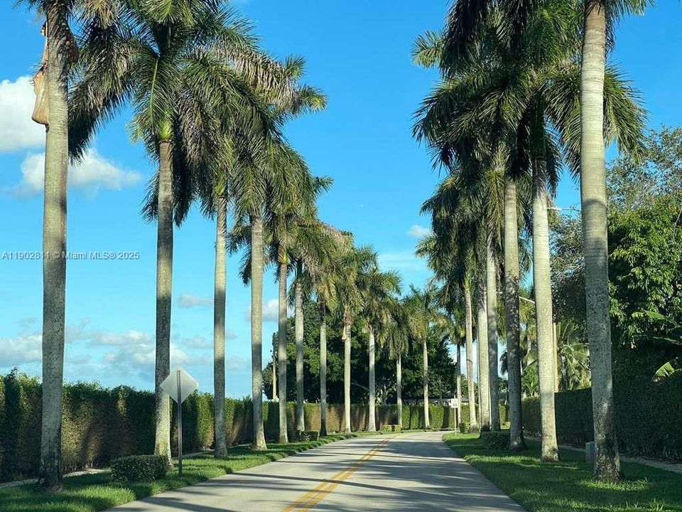 For Sale: $480,000 (3 beds, 2 baths, 1601 Square Feet)