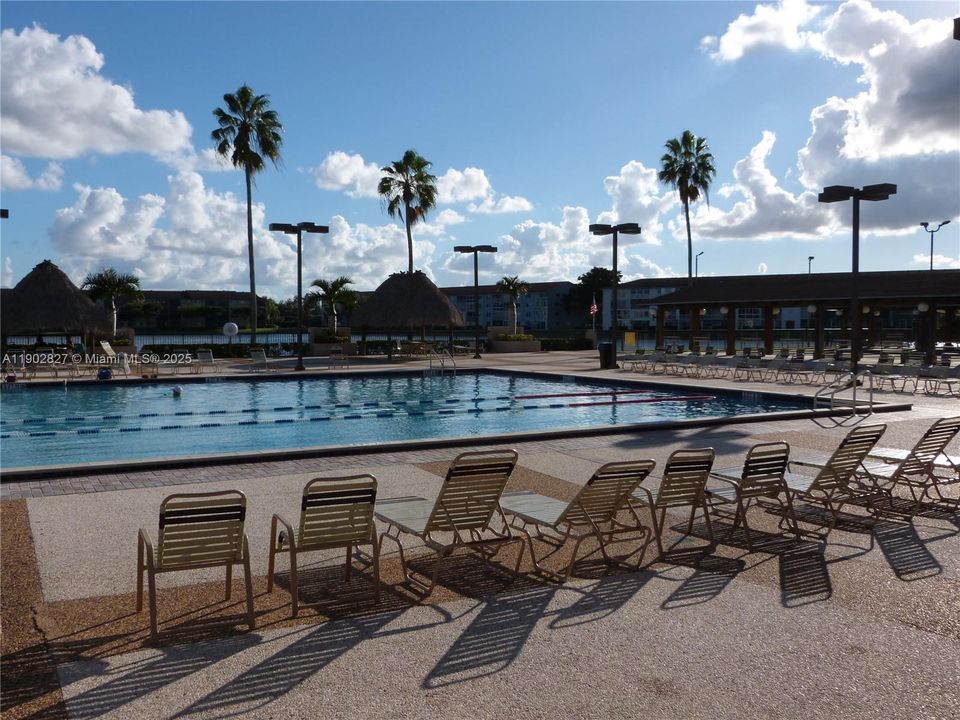 出租: $2,350 (2 贝兹, 2 浴室, 1100 平方英尺)