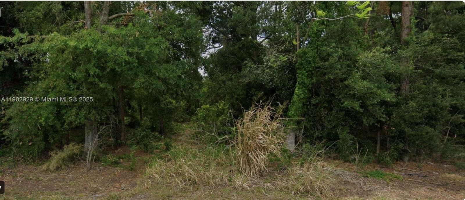 На продажу: $10,900 (0.30 acres)