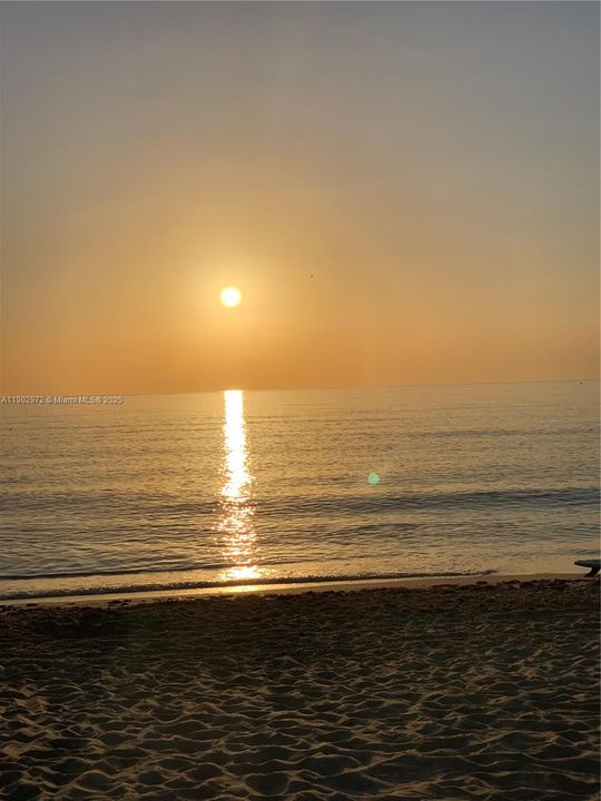 For Sale: $215,000 (1 beds, 1 baths, 825 Square Feet)