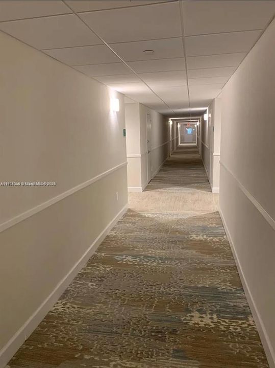 最近租的: $4,500 (1 贝兹, 1 浴室, 895 平方英尺)