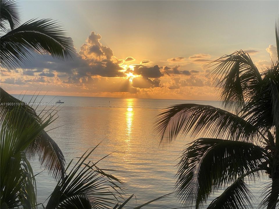 For Sale: $6,000,000 (3 beds, 3 baths, 2511 Square Feet)