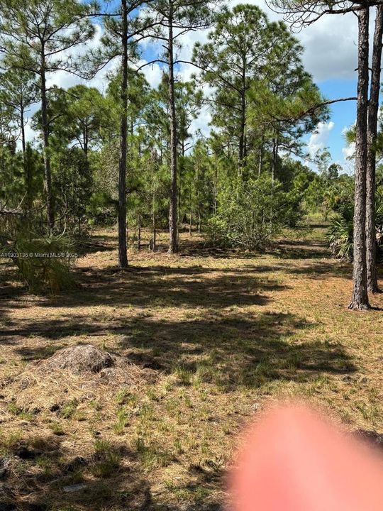 待售: $375,000 (7.42 acres)