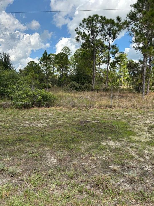 待售: $375,000 (7.42 acres)