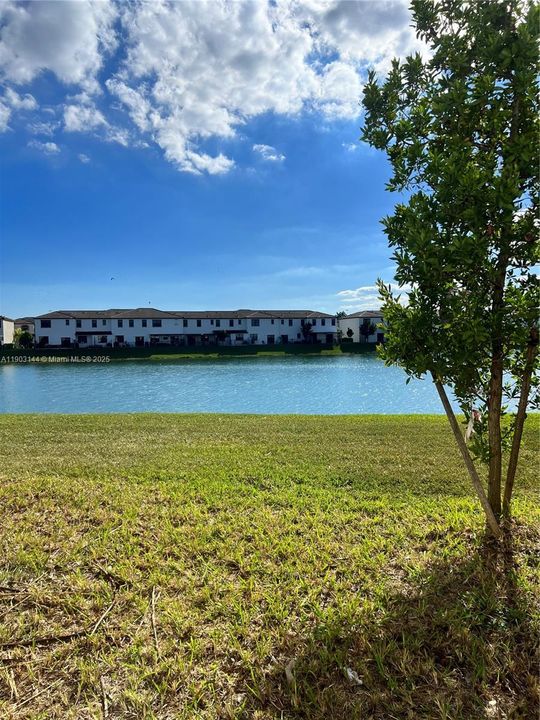 出租: $2,800 (3 贝兹, 2 浴室, 1335 平方英尺)