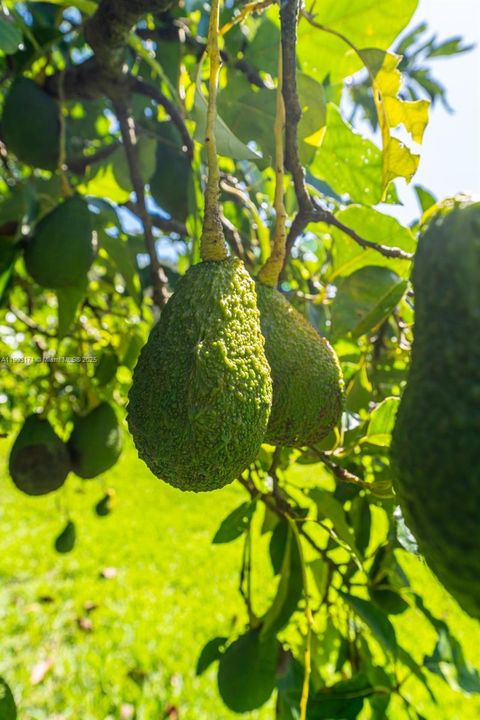 待售: $17,499,999 (3 贝兹, 3 浴室, 2564 平方英尺)