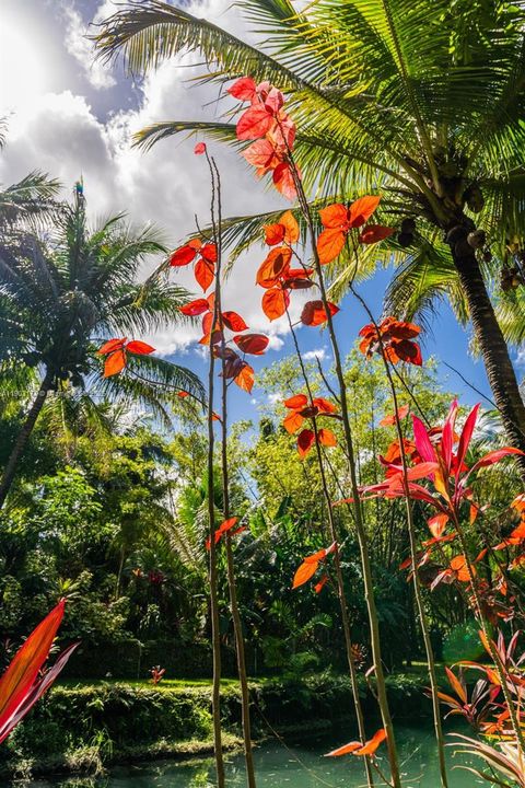 待售: $17,499,999 (3 贝兹, 3 浴室, 2564 平方英尺)