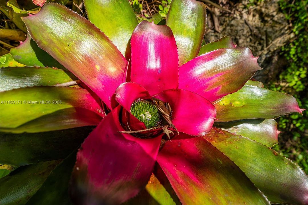 待售: $17,499,999 (3 贝兹, 3 浴室, 2564 平方英尺)