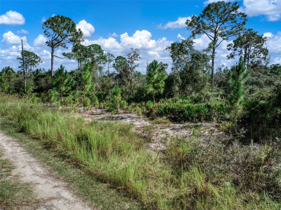 待售: $15,000 (0.23 acres)