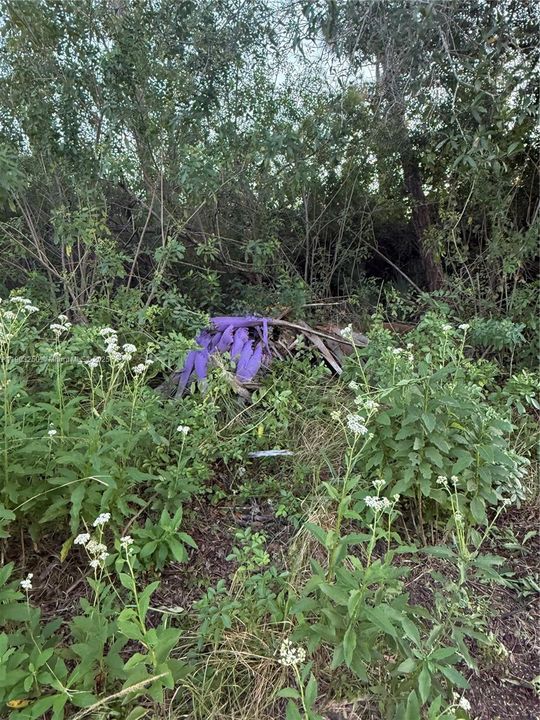 待售: $29,900 (1.26 acres)