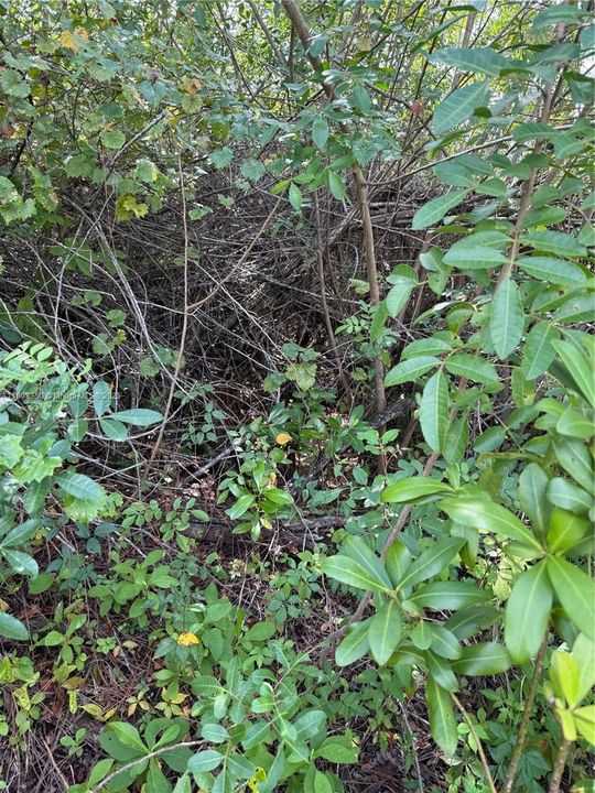 待售: $29,900 (1.26 acres)