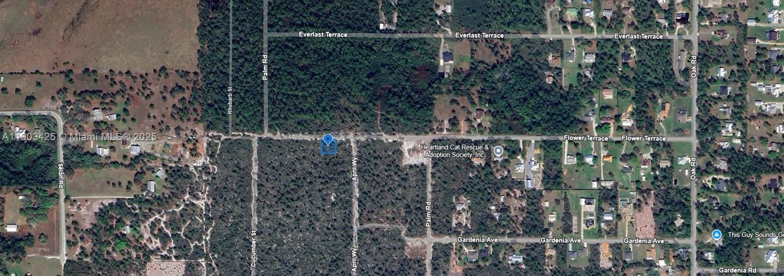 For Sale: $9,900 (0.25 acres)