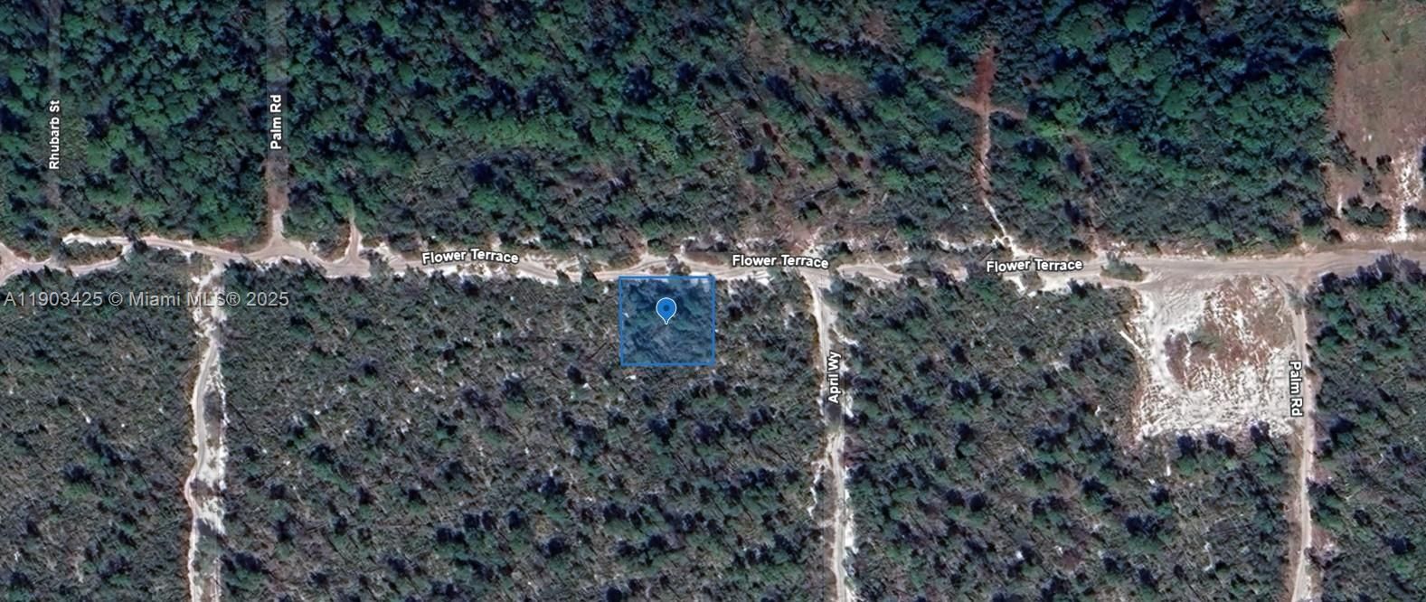 For Sale: $9,900 (0.25 acres)