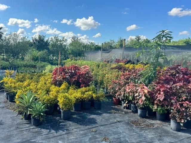 Active With Contract: $900,000 (0 beds, 0 baths, 0 Square Feet)