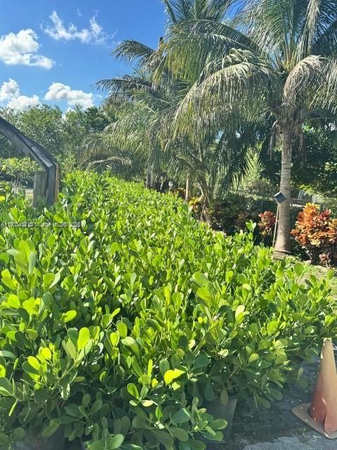 Active With Contract: $900,000 (0 beds, 0 baths, 0 Square Feet)