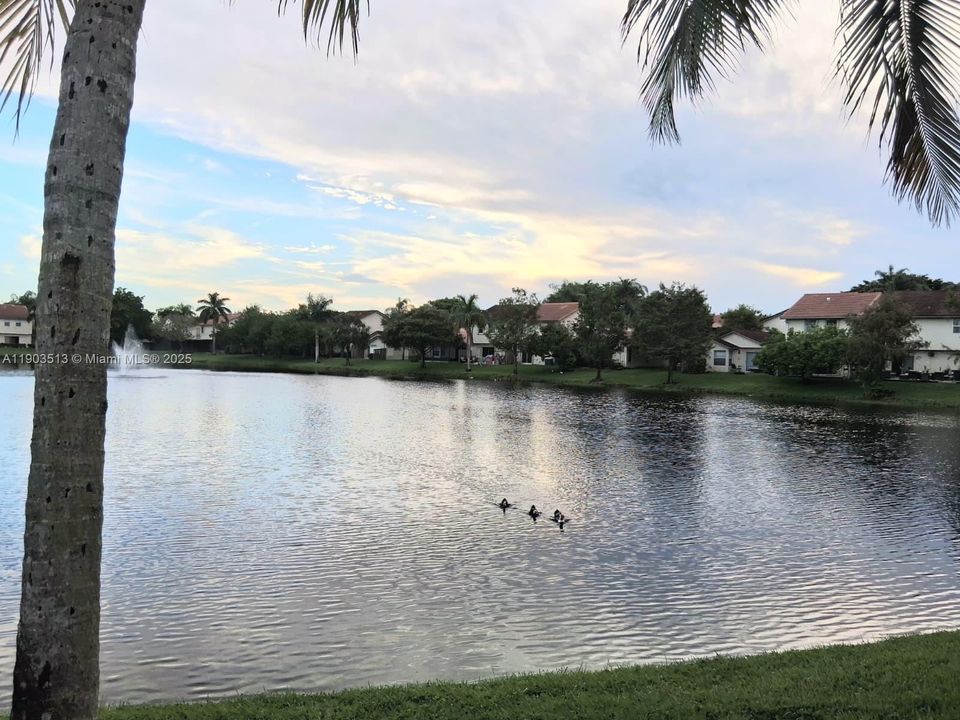 For Sale: $499,500 (3 beds, 2 baths, 1635 Square Feet)