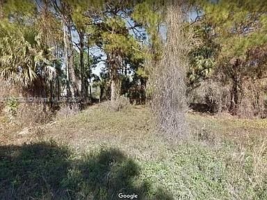 待售: $25,990 (0.29 acres)