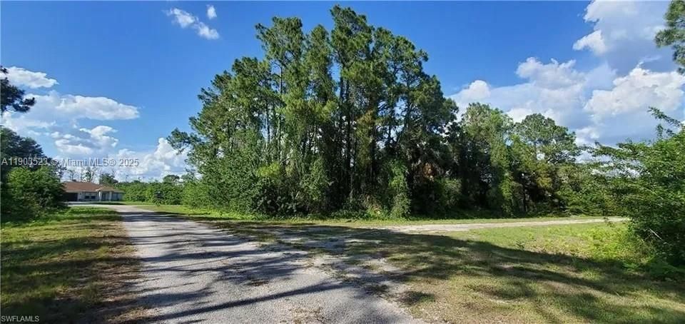 待售: $25,990 (0.29 acres)