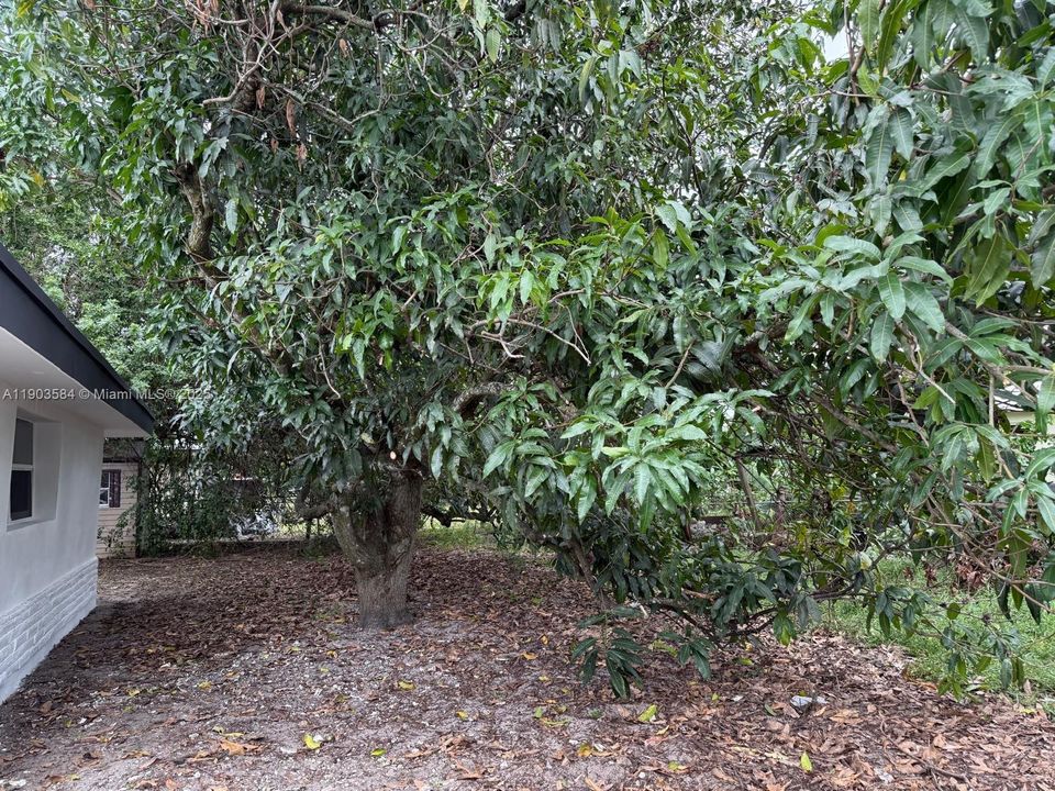 For Sale: $625,000 (4 beds, 3 baths, 1490 Square Feet)