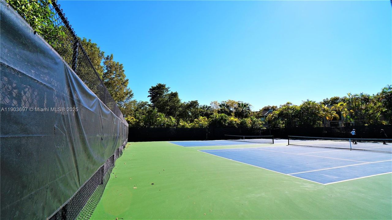Two of several tennis courts. There is also a basketball court and pickleball.