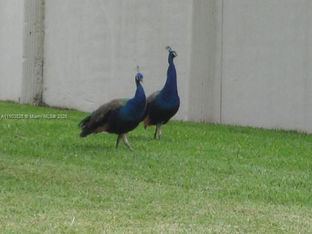 Недавно арендовано: $2,900 (3 спален, 2 ванн, 1557 Квадратных фут)