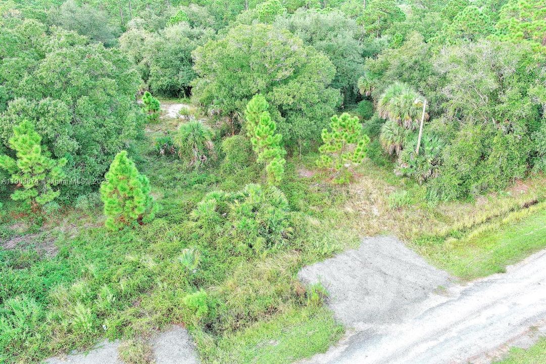 合同活跃: $53,000 (1.25 acres)