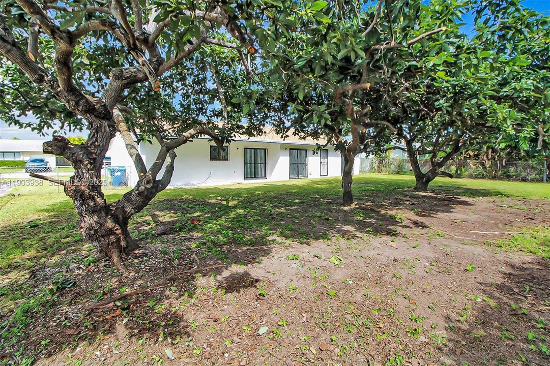 For Sale: $544,900 (3 beds, 2 baths, 1294 Square Feet)