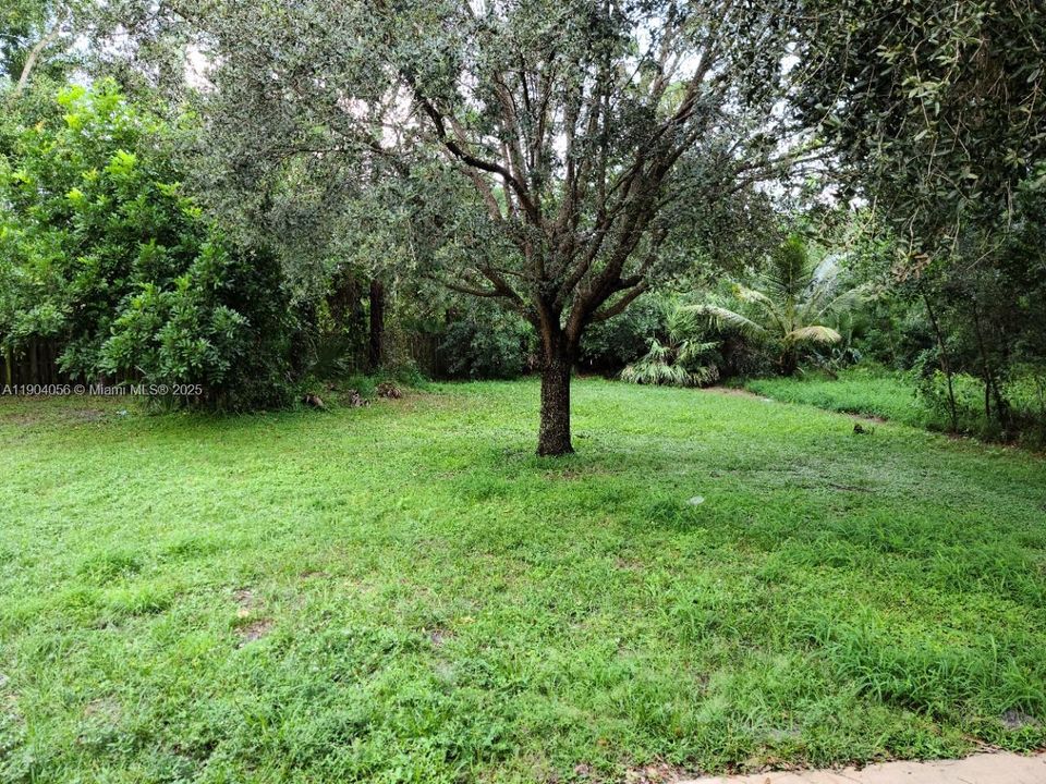 Недавно арендовано: $1,850 (3 спален, 1 ванн, 1131 Квадратных фут)