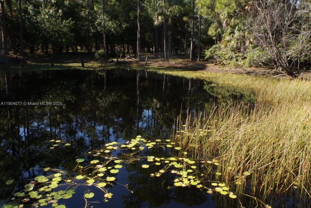 En Venta: $1,400,000 (3 camas, 2 baños, 2355 Pies cuadrados)