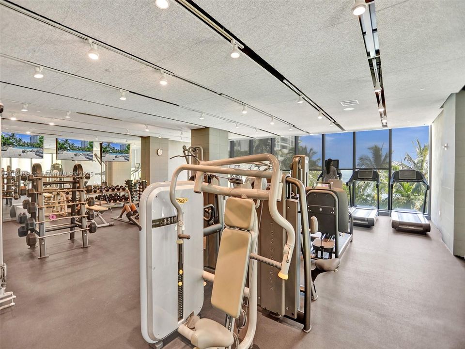 Fully equipped fitness center with treadmills, weights, and natural light.