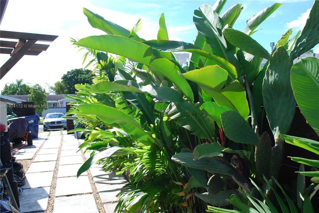 待售: $885,000 (5 贝兹, 3 浴室, 2534 平方英尺)