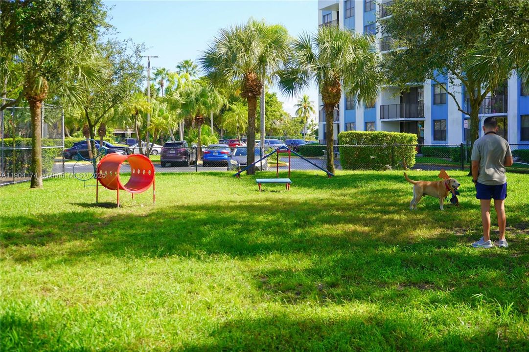 最近租的: $1,800 (1 贝兹, 1 浴室, 782 平方英尺)