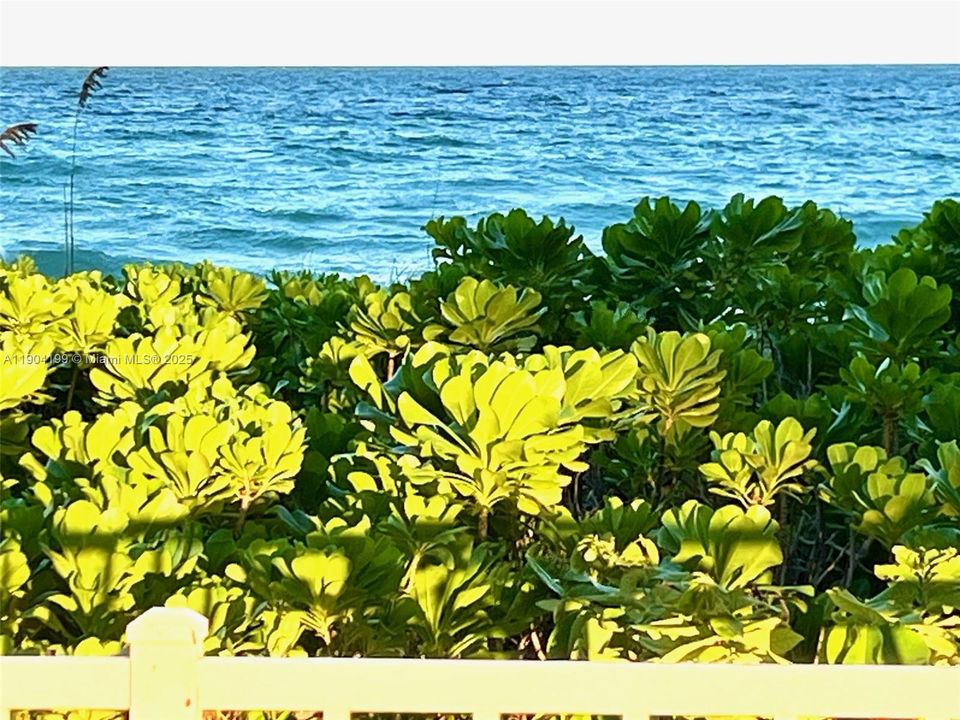 На продажу: $215,000 (1 спален, 1 ванн, 878 Квадратных фут)