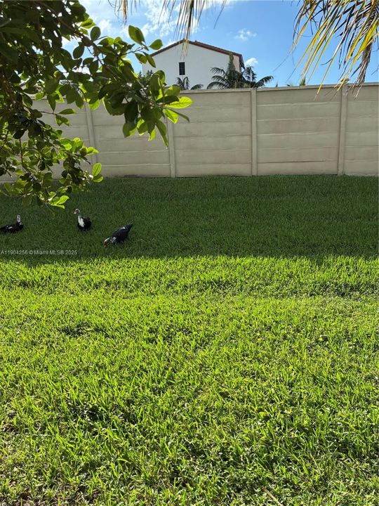 合同活跃: $2,550 (2 贝兹, 2 浴室, 1361 平方英尺)