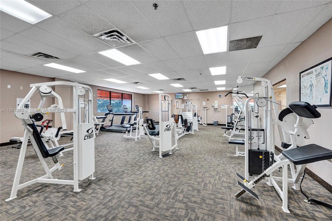 For Rent: $2,000 (1 beds, 1 baths, 800 Square Feet)