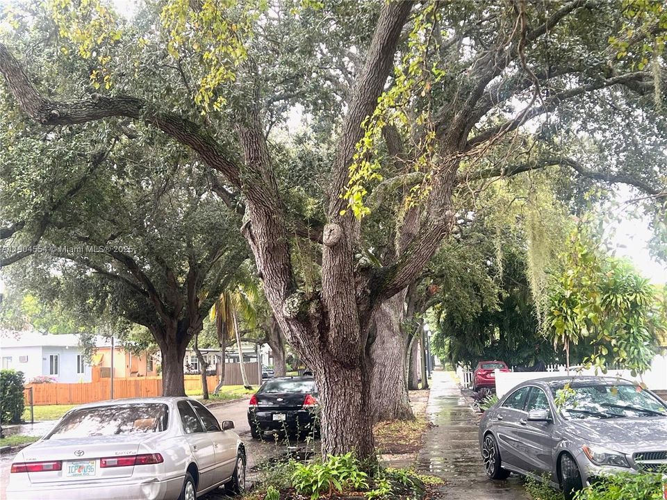 For Rent: $1,285 (0 beds, 1 baths, 500 Square Feet)