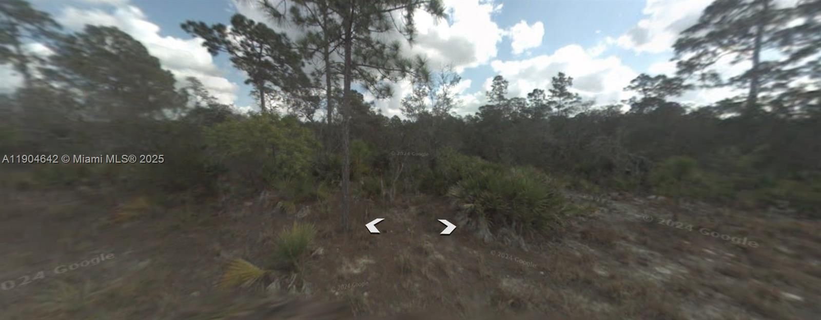 En Venta: $8,900 (0.28 acres)