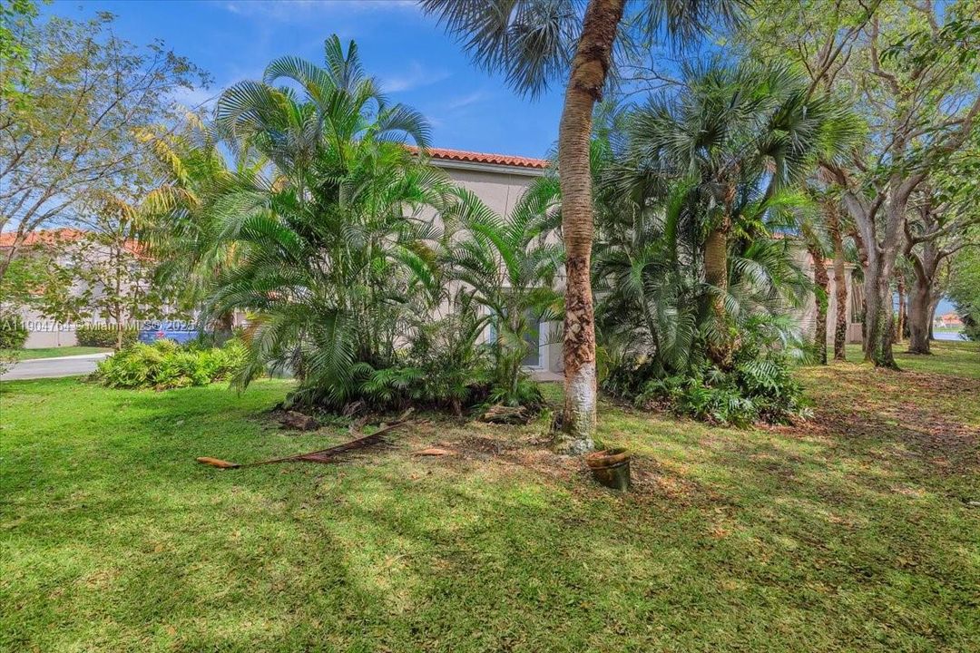 Activo con contrato: $3,000 (3 camas, 2 baños, 1666 Pies cuadrados)