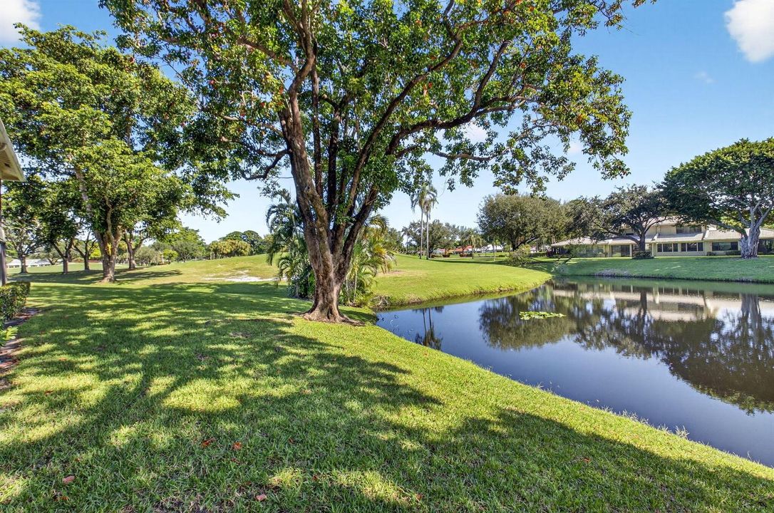 Lake Front View