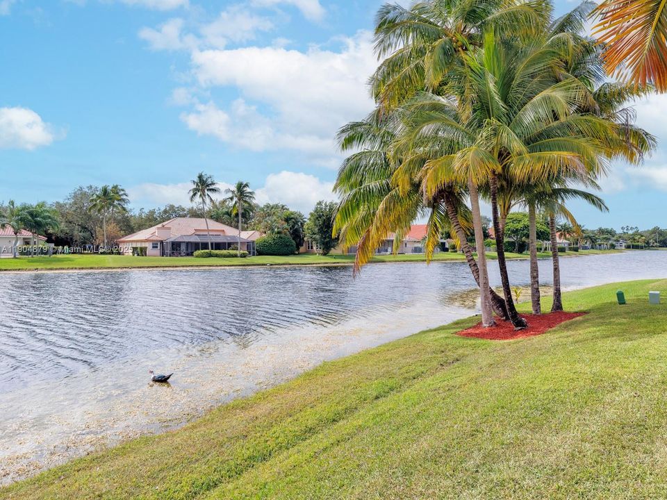 合同活跃: $1,290,000 (5 贝兹, 3 浴室, 2940 平方英尺)