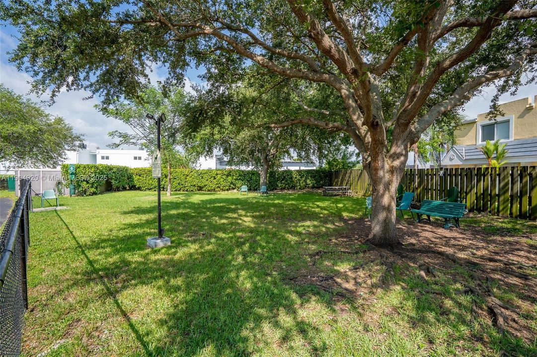 Active With Contract: $3,100 (3 beds, 2 baths, 1234 Square Feet)