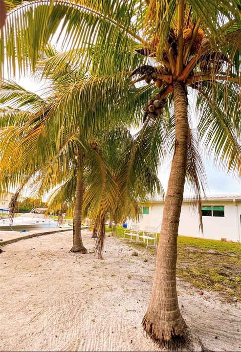 For Rent: $11,900 (3 beds, 3 baths, 2262 Square Feet)