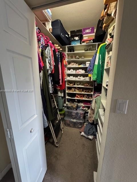Master Closet (2)