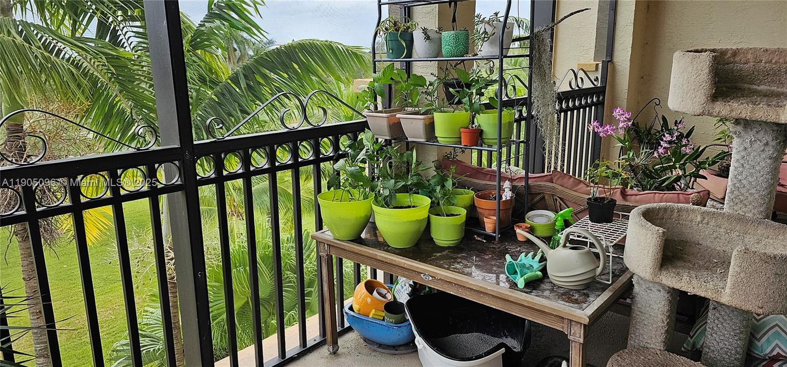 合同活跃: $3,300 (3 贝兹, 2 浴室, 1433 平方英尺)